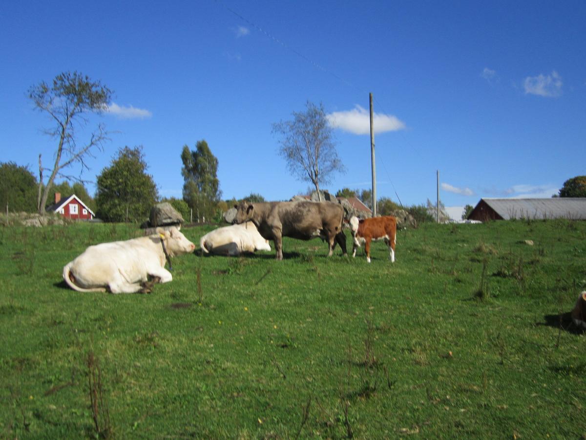 Vila Bjoerksebo Exteriér fotografie